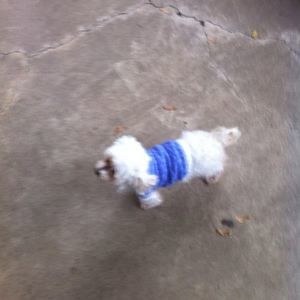 Meet your Posher, Iboro